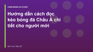 Read more about the article Hướng dẫn cách đọc kèo bóng đá Châu Á chi tiết cho người mới
